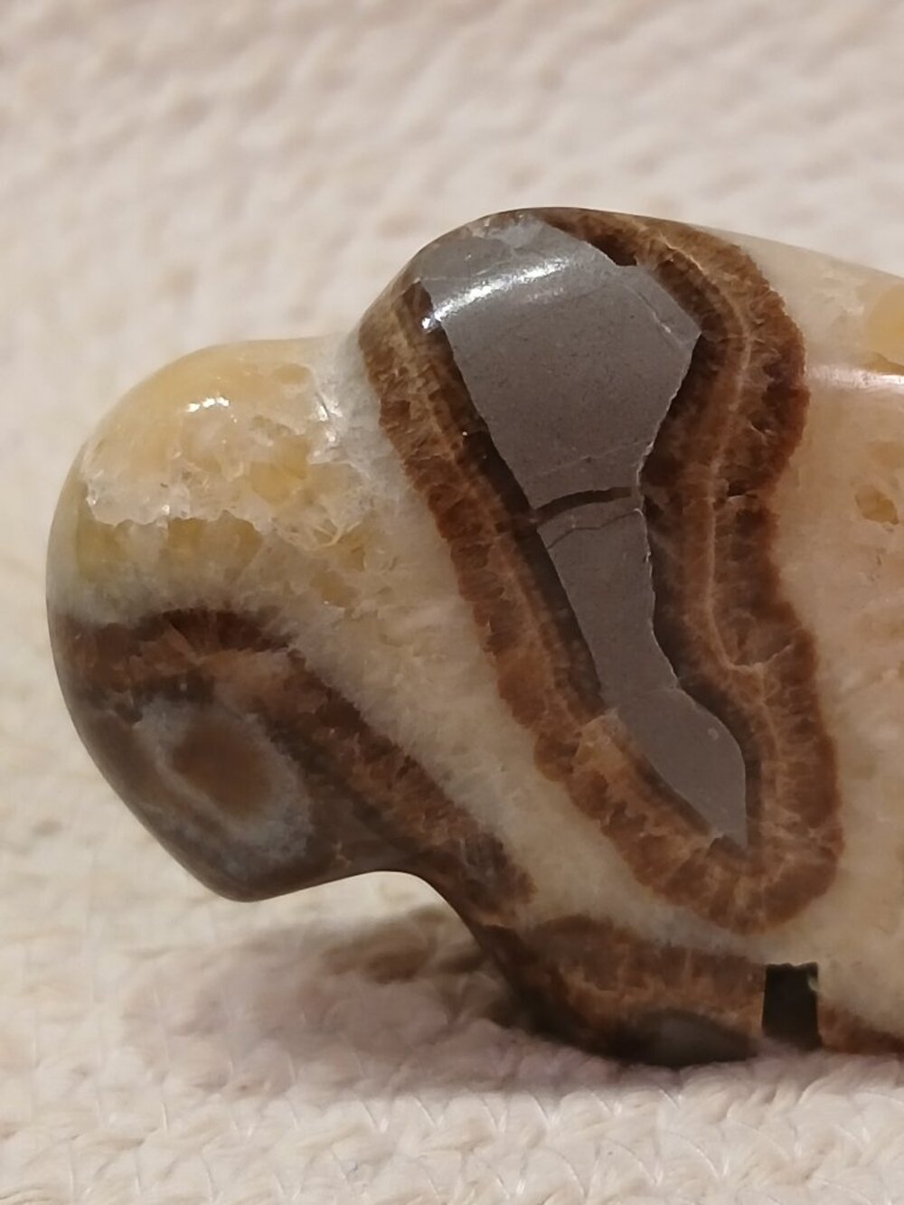 Native American Hand Carved Polished Septarian Zuni Buffalo - Picture 5 of 5